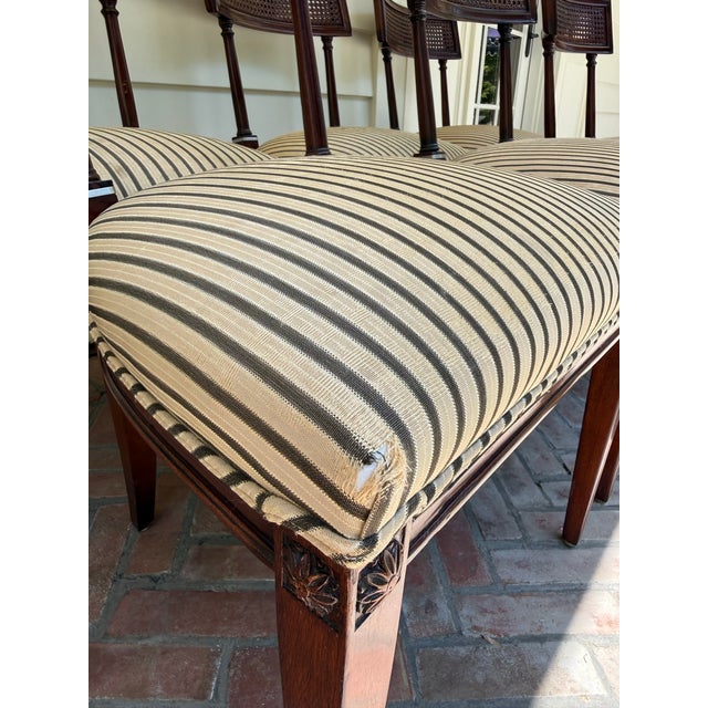 Vintage Cane Back Dining Chairs For Sale - Image 10 of 12