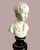 Small Biscuit Bust of Alexandre Brongniart after Jean-Antoine Houdon, Limoges, 1950s For Sale - Image 4 of 9