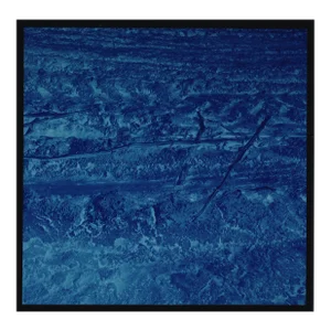 Landscape Cibachrome Photograph "Les Plantades" 1/10 - 1992 by Jacques Cressaty