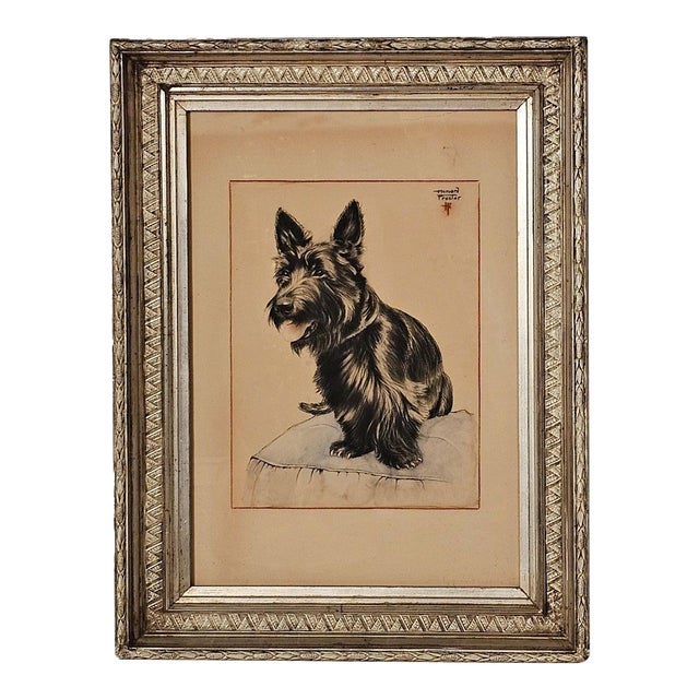Print of a Scottie, u.s.a., 19th Century For Sale