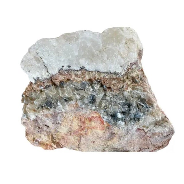 Contemporary Natural Petrified Wood Specimen #4 For Sale - Image 3 of 9