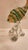 This listing features a beautiful yellow and green striped fish with silver leaf flake details.