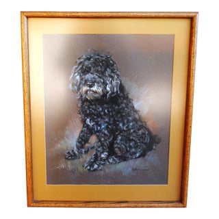 Late 20th Century Poodle Dog Charcoal Portrait Drawing by S. K. Cooper, Framed For Sale