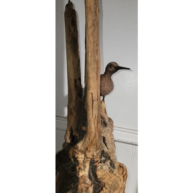 Early 20th Century Folk Art Drift Wood Sculpture W/ Bird For Sale - Image 5 of 7