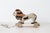 Folk Art Early 20th Century Hand-Carved Painted Wood Lion Pull Toy on Wheeled Platform For Sale - Image 3 of 17