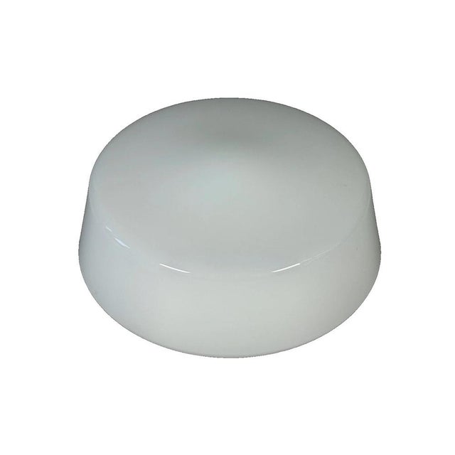 Mid-Century Ceiling Light in Frosted Glass from RZB, 1960s For Sale - Image 15 of 15
