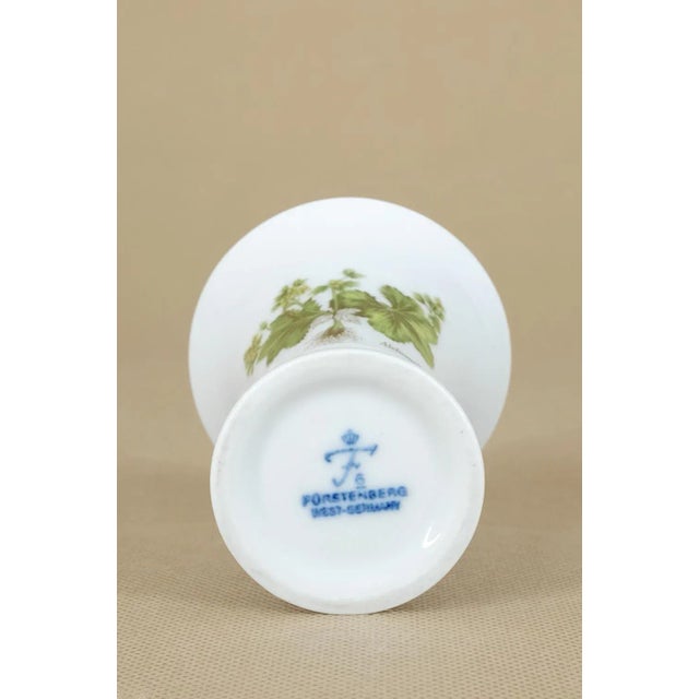 Ceramic Alchemilla Vulgaris Vase from Fürstenberg Porzellan, 1980s For Sale - Image 7 of 8