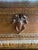 Antique Spanish Carved Wedding Chest For Sale - Image 10 of 10