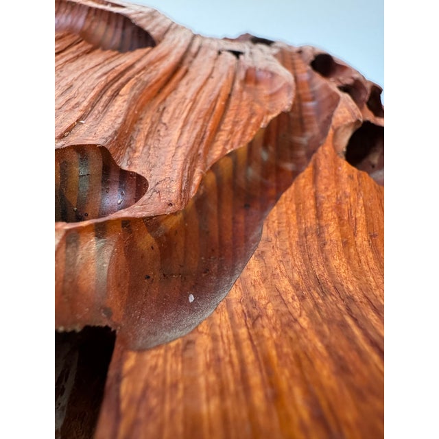 Mid-Century Organic Modern Insect-Eaten Wood Candleholders, Brass Cups, Pair For Sale - Image 11 of 13