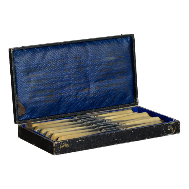 Vintage Dinner Knives, 1900, Set of 12 For Sale