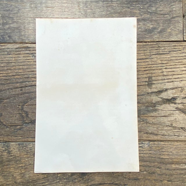 French Antique 18th Century "La Chauve" Bat Engraving Hand Colored Artwork For Sale In Portland, ME - Image 6 of 6