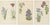 David Wooster, Victorian Triptych of Alpine Flowers from Alpine Plants, 1874, Print, Set of 3 For Sale