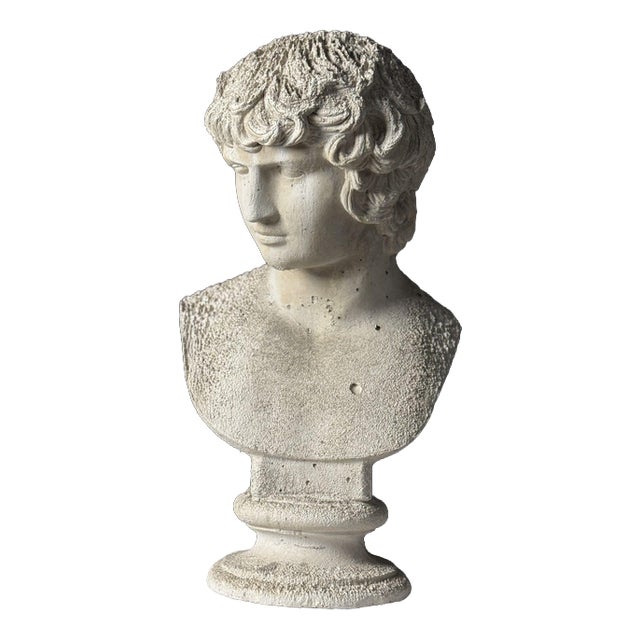 Classical Bust of Antinous, 2000s For Sale