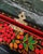 1970s Russian Signed Hand-Painted Lacquer Folk Art Box Case For Sale - Image 12 of 16