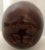 Wood Apple With Solid Brass Stem For Sale In Miami - Image 6 of 7