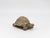 Shell patterned in layered, feathered arcs, this reconstituted stone tortoise in warm earthy tones with traces of...