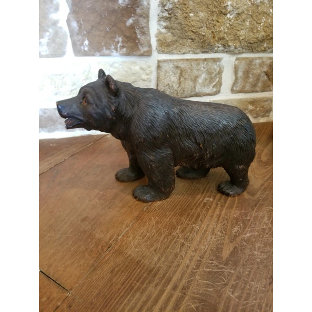 1900 - 1909 Antiique Black Forest Bear For Sale - Image 5 of 9