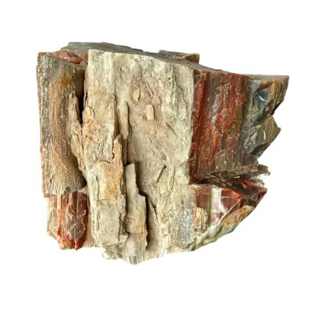 Contemporary Natural Petrified Wood Specimen. #1 For Sale - Image 3 of 11