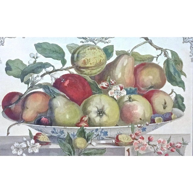 Illustration Vintage Apple & Pear Species Engraving For Sale - Image 3 of 7