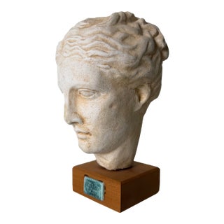 Vintage Handcrafted Hygieia Greek Goddess Plaster Bust Sculpture on Wood Base For Sale