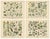 Black M. Fünfstück, German Wildflower Botanical Plates, 1890s, Chromolithographs, Set of 4 For Sale - Image 8 of 9