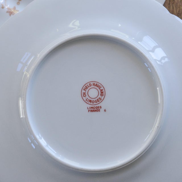 Antique Limoges Porcelain Dessert Plates with Bird Decoration from Charles Haviland, 1930s, Set of 7 For Sale - Image 6 of 7