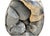 Gemstone Septarian "Egg" Geode From the Cretaceous Period For Sale - Image 7 of 8