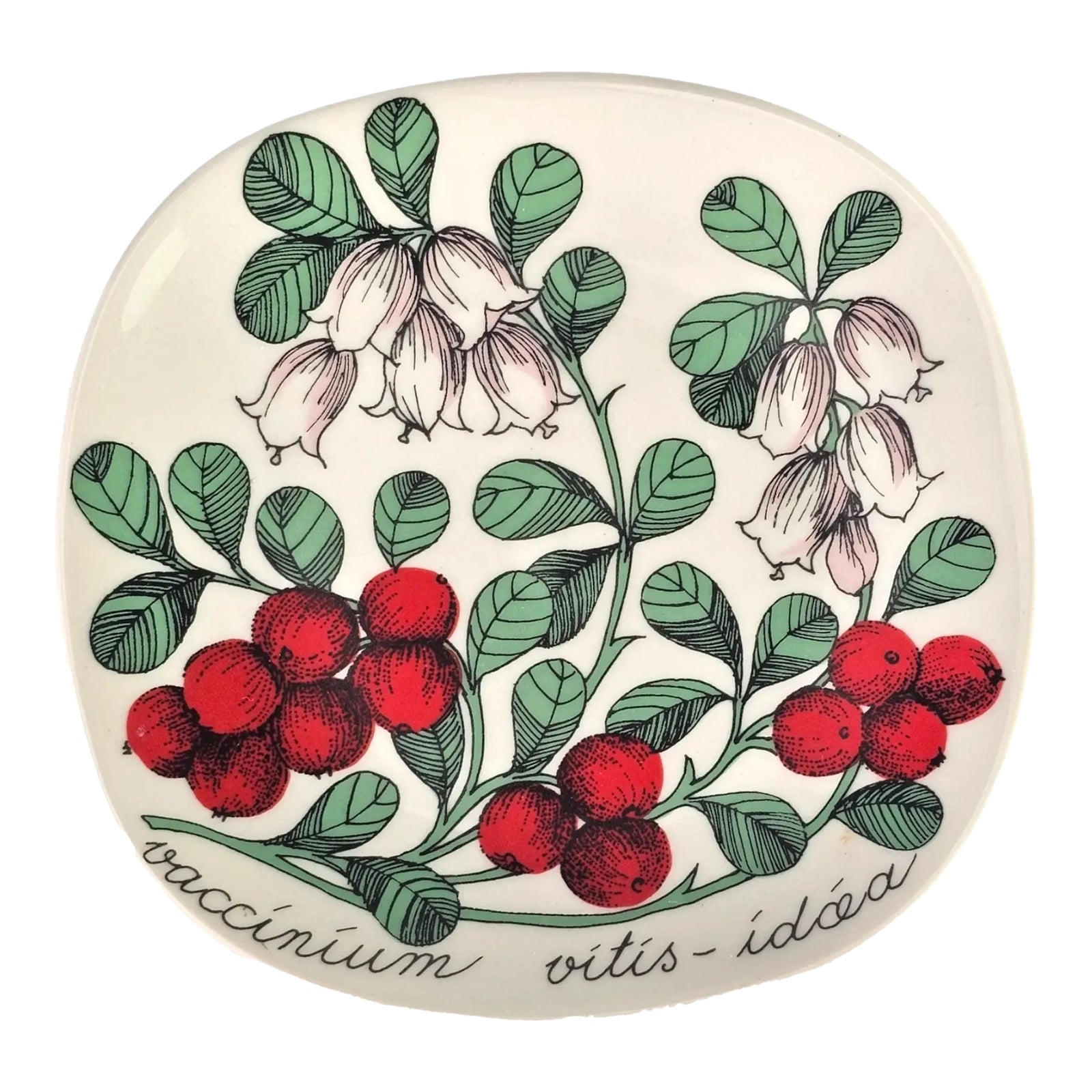 mid-century-arabia-finland-