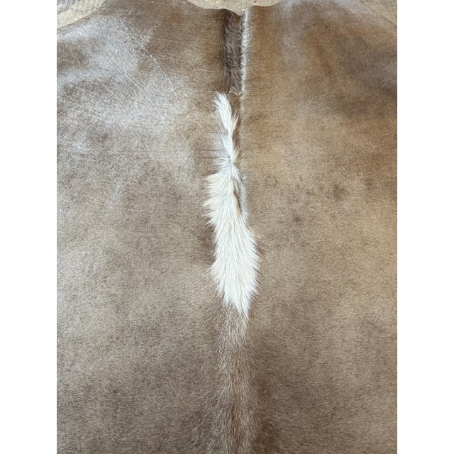 Contemporary Natural Brazilian Dark Champagne Cowhide Rug. 79" X 86" For Sale - Image 3 of 3