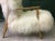 Mid-Century White Sheepskin Armchair For Sale - Image 12 of 13