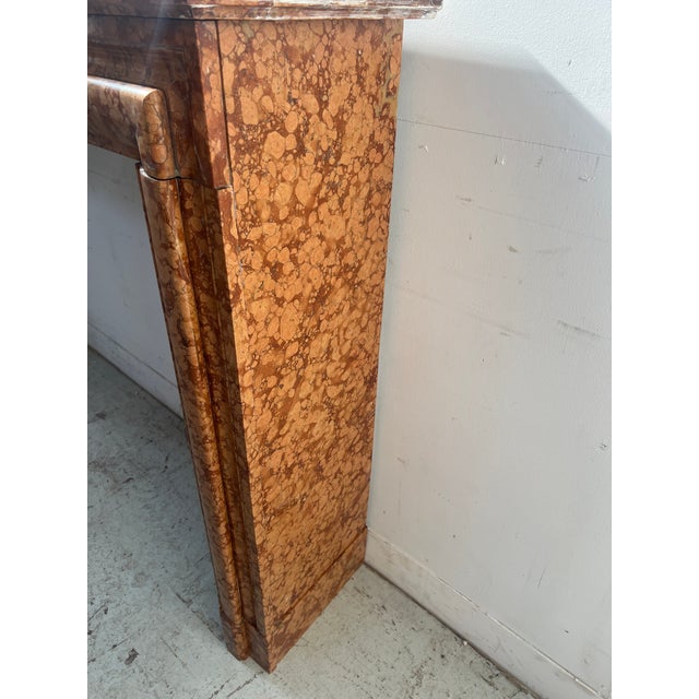 Louis XIV Style Fireplace in Speckled Breccia Marble, 1800s For Sale - Image 11 of 12