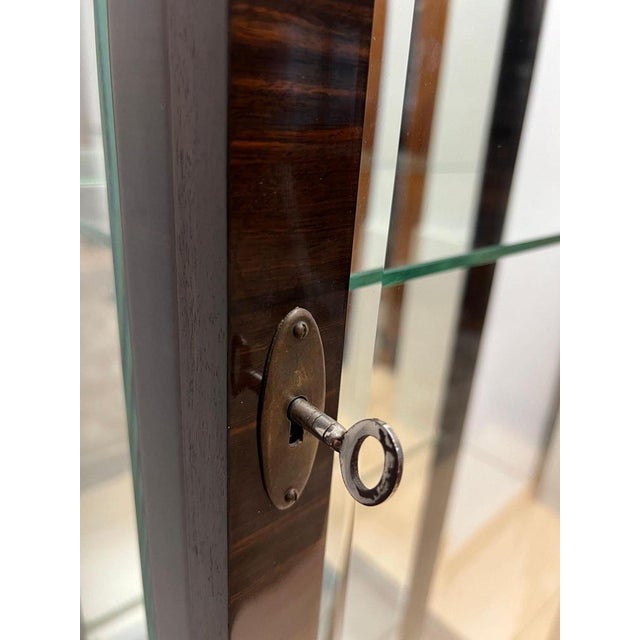 Art Deco Display Cabinet in Glass & Macassar Veneer, France, 1930 For Sale - Image 13 of 18