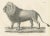 19th-century lithograph of the majestic barbary lion standing in profile this exquisite 19th-century lithograph presents a...