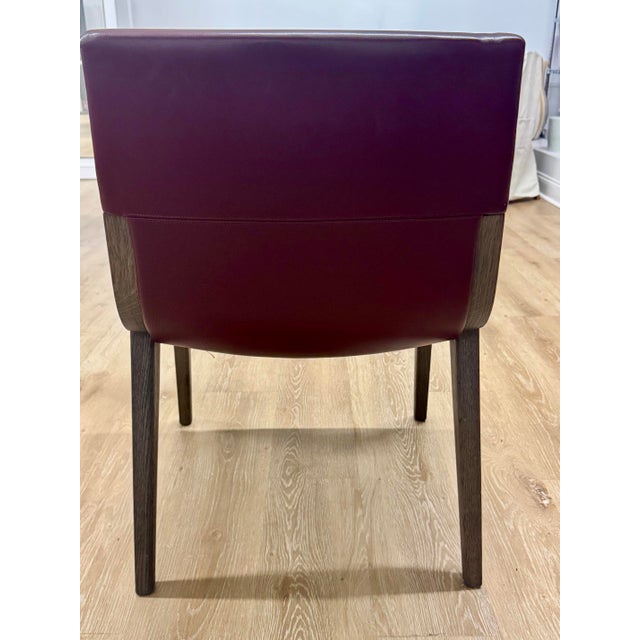 4 B&b Italia El Chairs 2 Maxalto Acanto Armchairs For Sale - Image 11 of 12