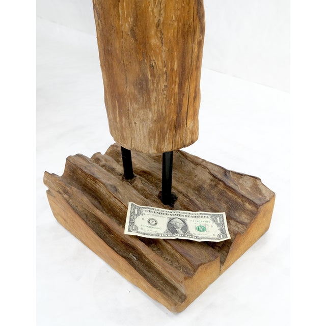 Mid Century Modern 78" Tall Narrow Drift Wood Sculpture Specimen on Wooden Base.