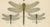 Dragonflies of Central Europe, 1908, Lithograph, Set of 3 For Sale - Image 11 of 14