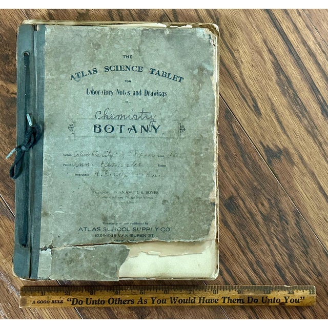 Antique Botany Herbarium: 1900s Lab Notes & Drawings - Columbia City High School For Sale - Image 10 of 10