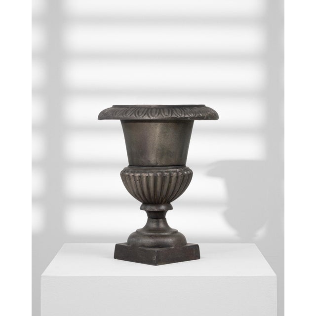 19th Century France Black Iron Planter For Sale In Greensboro - Image 6 of 8
