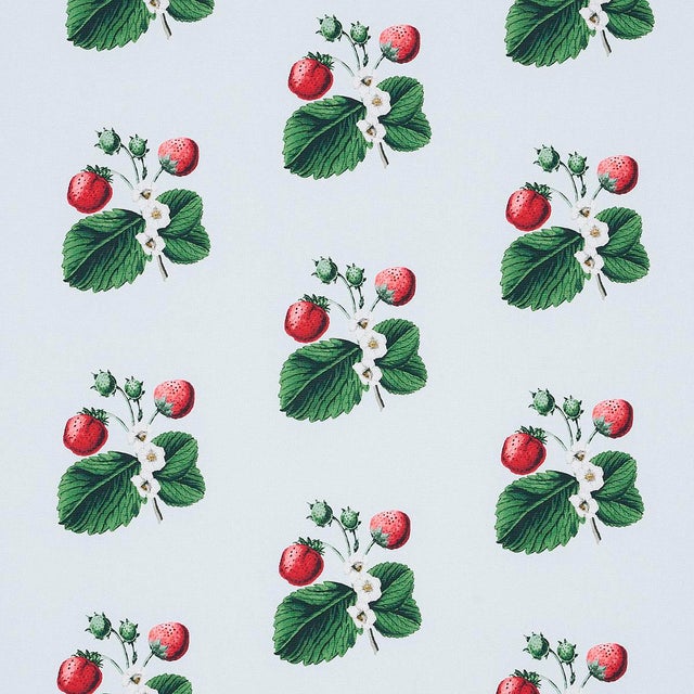 Not Yet Made - Made To Order Sample - Schumacher x Johnson Hartig Strawberry Hill Fabric in Sky For Sale - Image 5 of 5