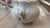 Early 20th-Century Japanese Floral Porcelain Petite Covered Sugar Bowl For Sale - Image 9 of 18