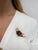 This fun little parrot is a perfect friend for your shoulder! Containing numerous top quality round brilliant and baguette...
