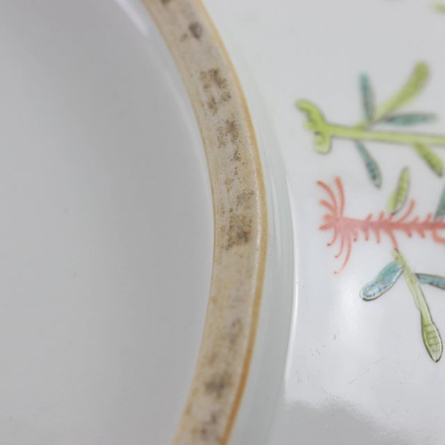 Early 20th Century Early 20th Century Export Porcelain Cantonese Famille Rose Plate For Sale - Image 5 of 10