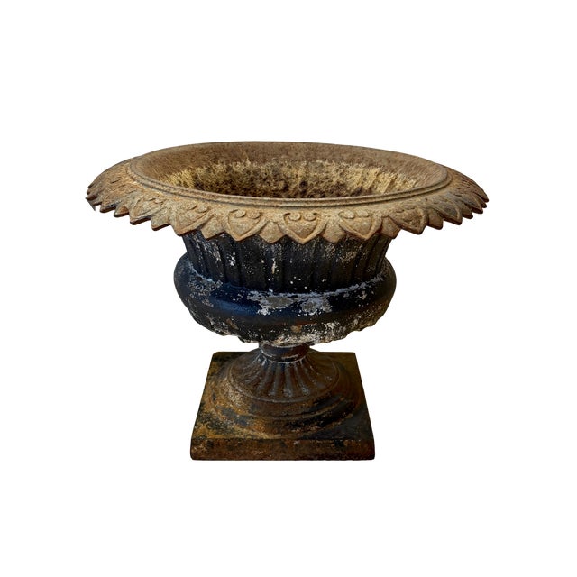 Dramatic cast iron garden urn with an egg-and-dart pattern gadrooned rim and square plinth pedestal base. Age and the...