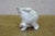 Antique Art Deco Austrian Augarten Wien Porcelain Preening Rabbit Figurine 3.5" For Sale - Image 6 of 14
