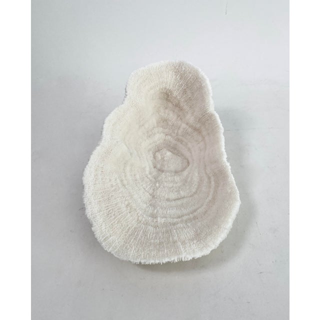Chinoiserie Natural White Bowl Coral Specimen Coastal Home Decor For Sale - Image 3 of 6
