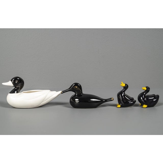 Ceramic Porcelain Ducks in Black & White, 1970s, Set of 4 For Sale - Image 7 of 14