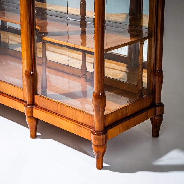 Biedermeier Display Cabinet, 1830 For Sale - Image 6 of 10