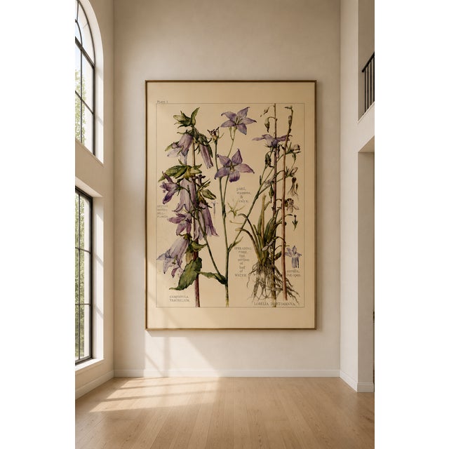 Bell Flowers Plate 1, Vintage Botanical Art Print Reproduction, 40" X 60" For Sale In Buffalo - Image 6 of 13
