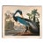 1964 Audubon Folio Original Lithograph Great Bird Paintings - "Louisiana Heron" 14x17 For Sale