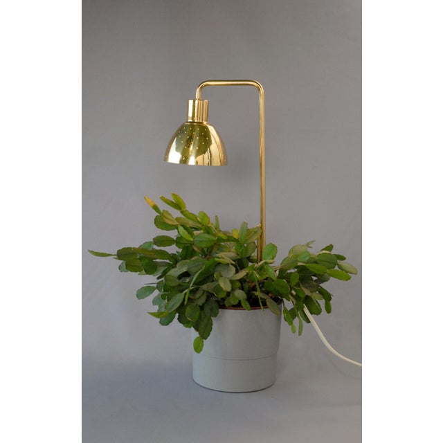 Model G98 Flower Lamp by Hans-Agne Jakobsson for HAJ Markaryd, 1960s For Sale - Image 14 of 14